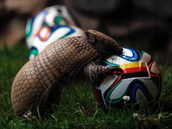 Legendary Football